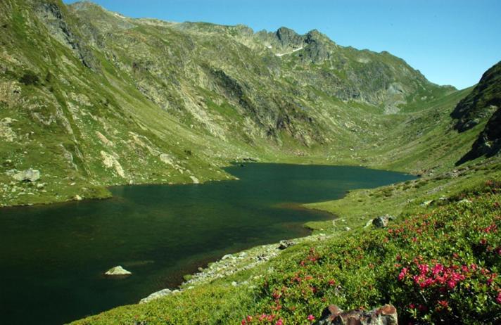 Apartaments Sort Pirineus エクステリア 写真