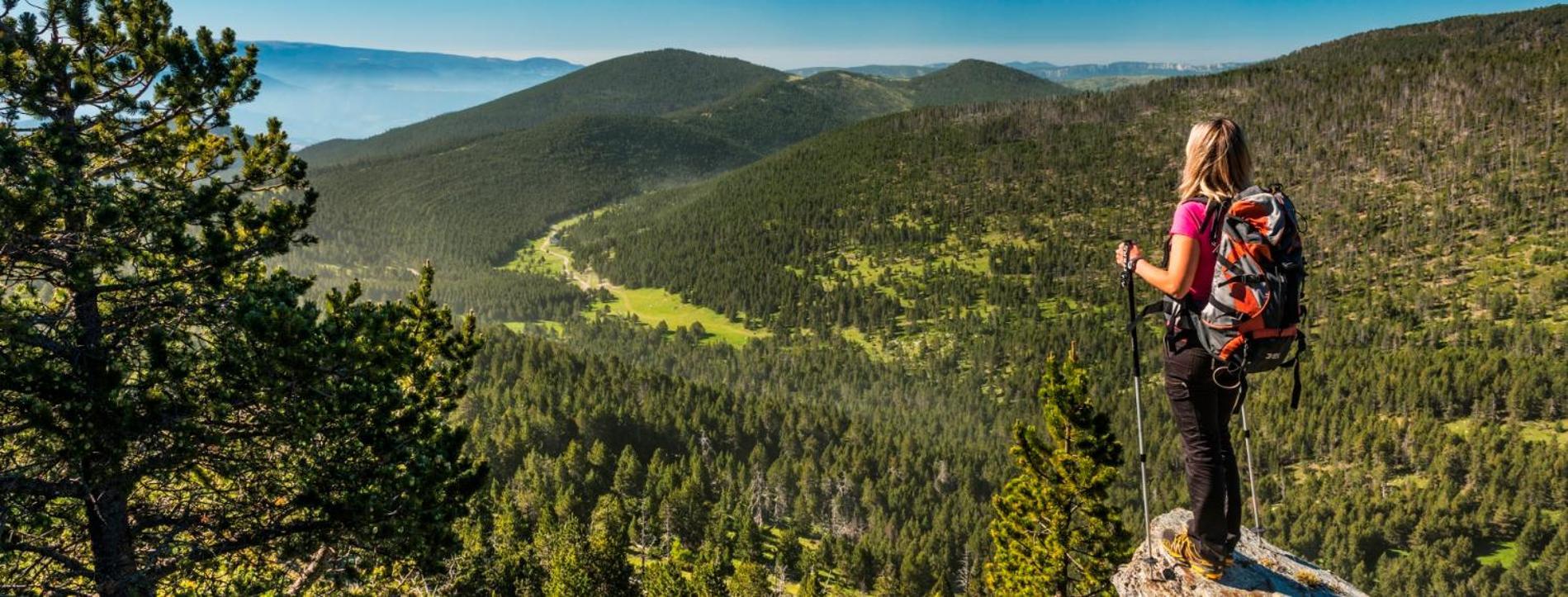 Apartaments Sort Pirineus エクステリア 写真