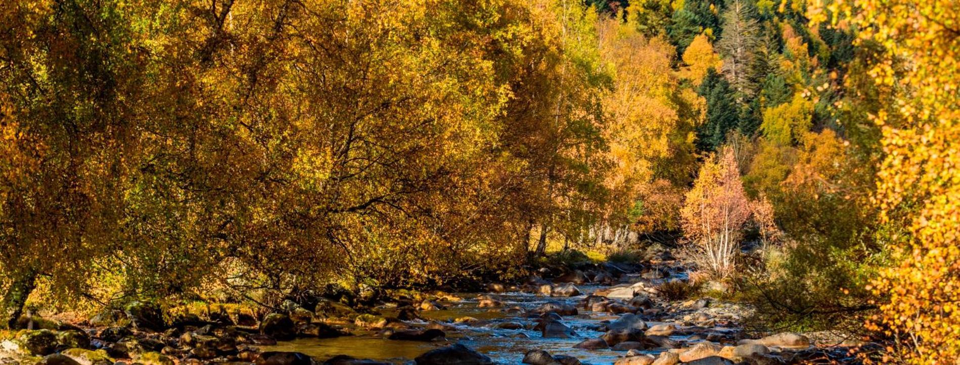 Apartaments Sort Pirineus エクステリア 写真